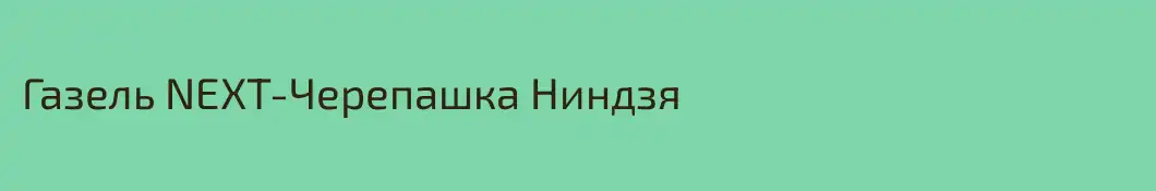 Газель NEXT-Черепашка Ниндзя